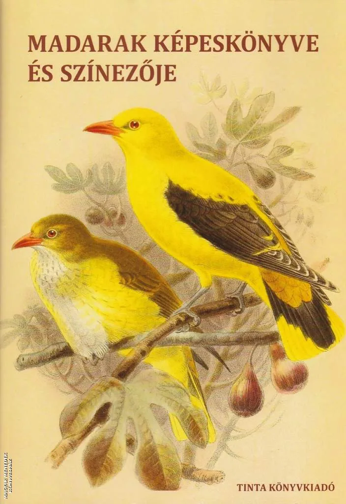 Madarak képeskönyve és színezője