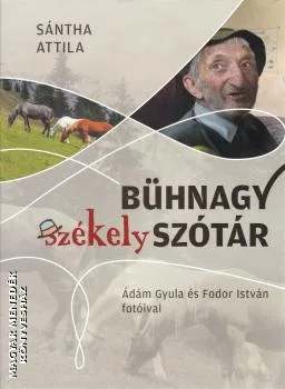 Bühnagy székely szótár