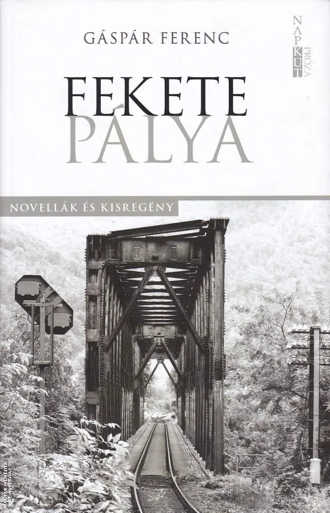Fekete pálya