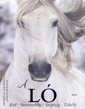 A ló