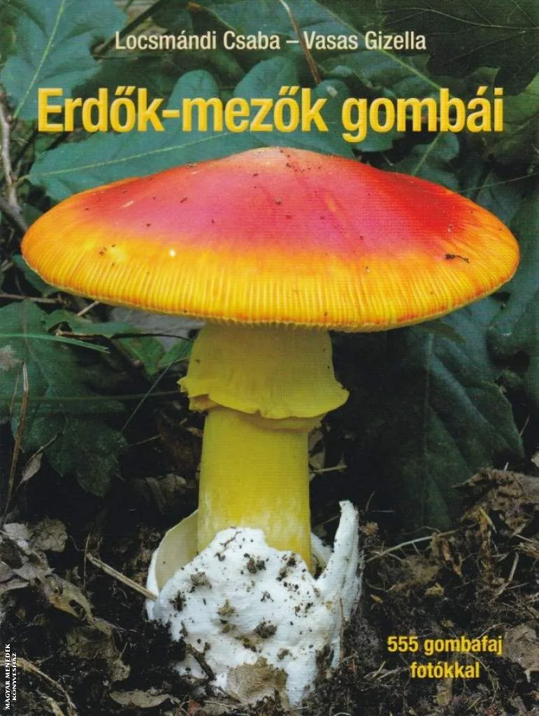 Erdők-mezők gombái