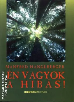 Én vagyok a hibás!
