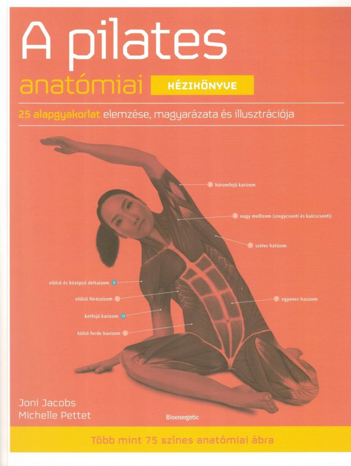 A pilates anatómiai kézikönyve