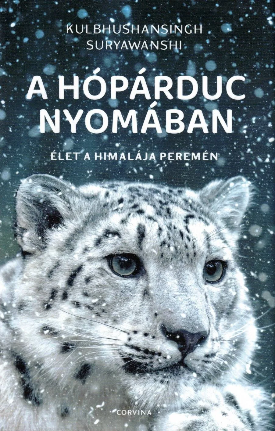 A hópárduc nyomában